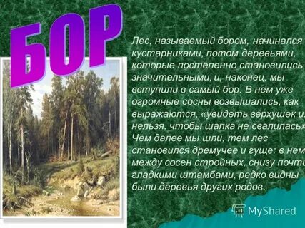 Начинался прямо