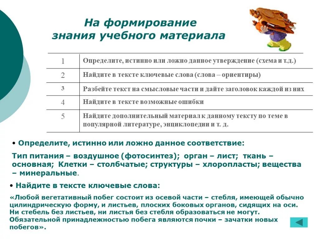 Естественнонаучная грамотность в начальной школе. Формирование естественнонаучной грамотности на уроках биологии. Формирование естественнонаучной грамотности на уроках. Задачи по естественнонаучной грамотности. Формирование естественнонаучной грамотности на уроках географии.