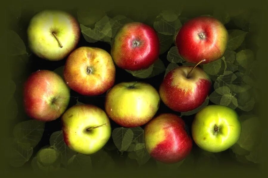 Ответ 8 яблок. 8 Яблок. Изображением 8 яблок. Яблоко жизни. Девять яблок.
