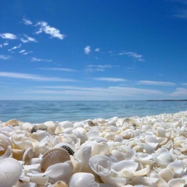 Plage sugar