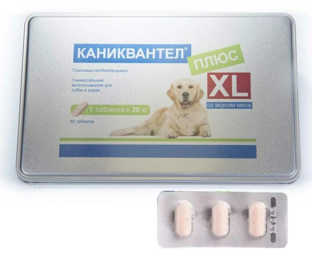 Каниквантел плюс, 1 таб XL(1уп=3таб). Каниквантел плюс XL для собак. Таблетки от глистов для собак каниквантел. Мильбемакс, каниквантел.. Глистогонное для собак купить