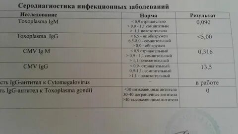 Вирус краснухи igm igg