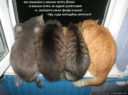 Какая пошла