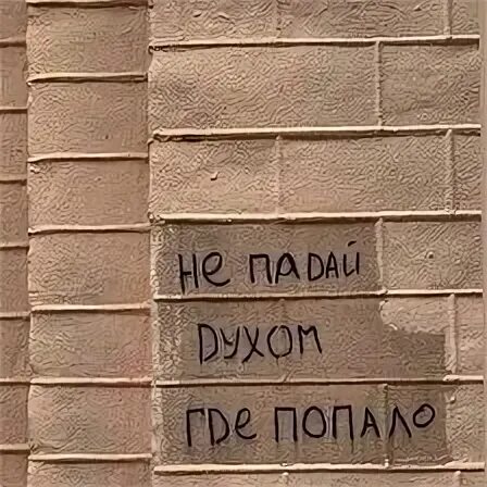 Мечтай дальше