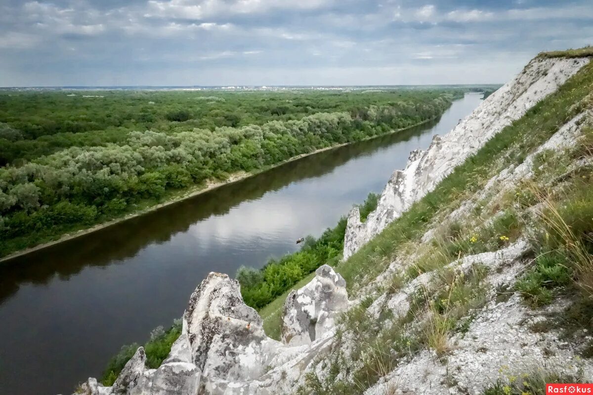 Река дон в павловске воронежской области. Павловск Воронежская область меловые горы. Белогорье Воронежская область. Село Белогорье меловые горы. Меловые горы Воронежской области Белогорье.