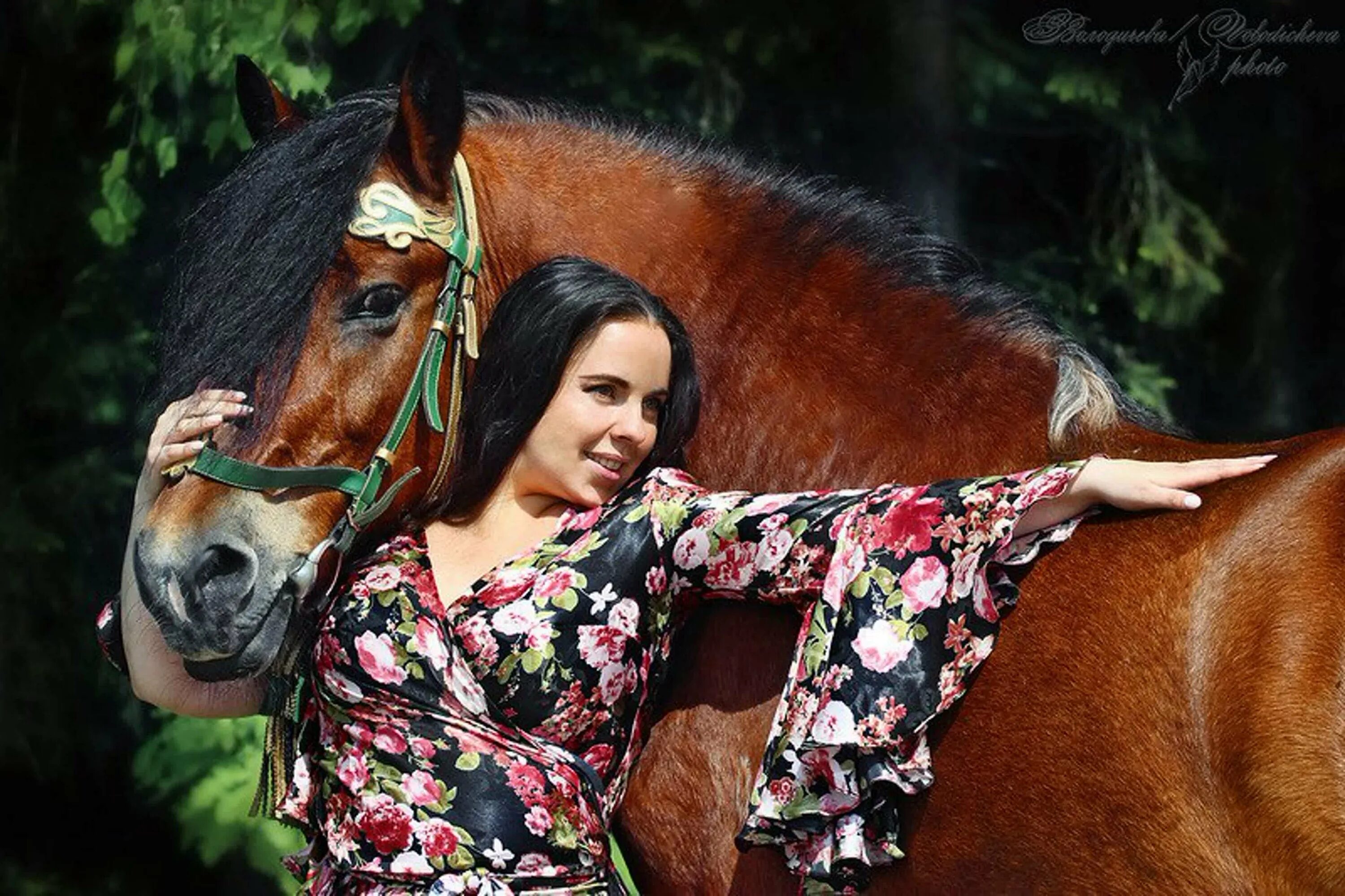 Учительница кони. Цыганский конь. Цыган на лошади. Фотосессия цыганка с лошадью.