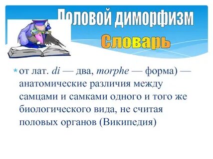 Ди это