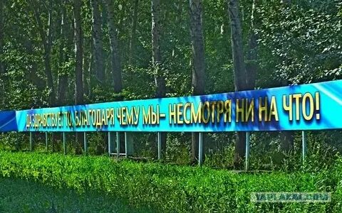 Вид благодаря тому что
