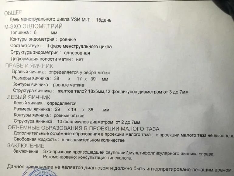 Эндометрий 3 мм. Ультразвуковое исследование органов малого таза трансабдоминальное. Ультразвуковое исследование матки и придатков при беременности. Гинекологическое УЗИ. Результаты УЗИ.