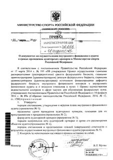 Приказ осуществление внутреннего финансового контроля