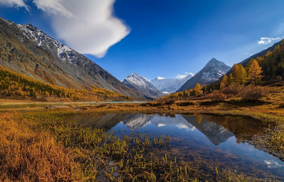 Золотые горы алтая где находится. Золотые горы Алтая. Золотые горы Алтая Алтайский и Катунский заповедники. Горы Алтая ЮНЕСКО. Золотые горы Алтая объект ЮНЕСКО.