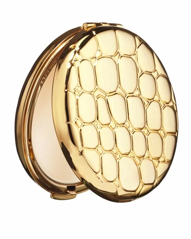 Estee lauder double wear пудра matte. Пудра от эсте лаудер. Пудра эсте лаудер double. Estee lauder пудра компактная. Пудра estee lauder double 2c1.