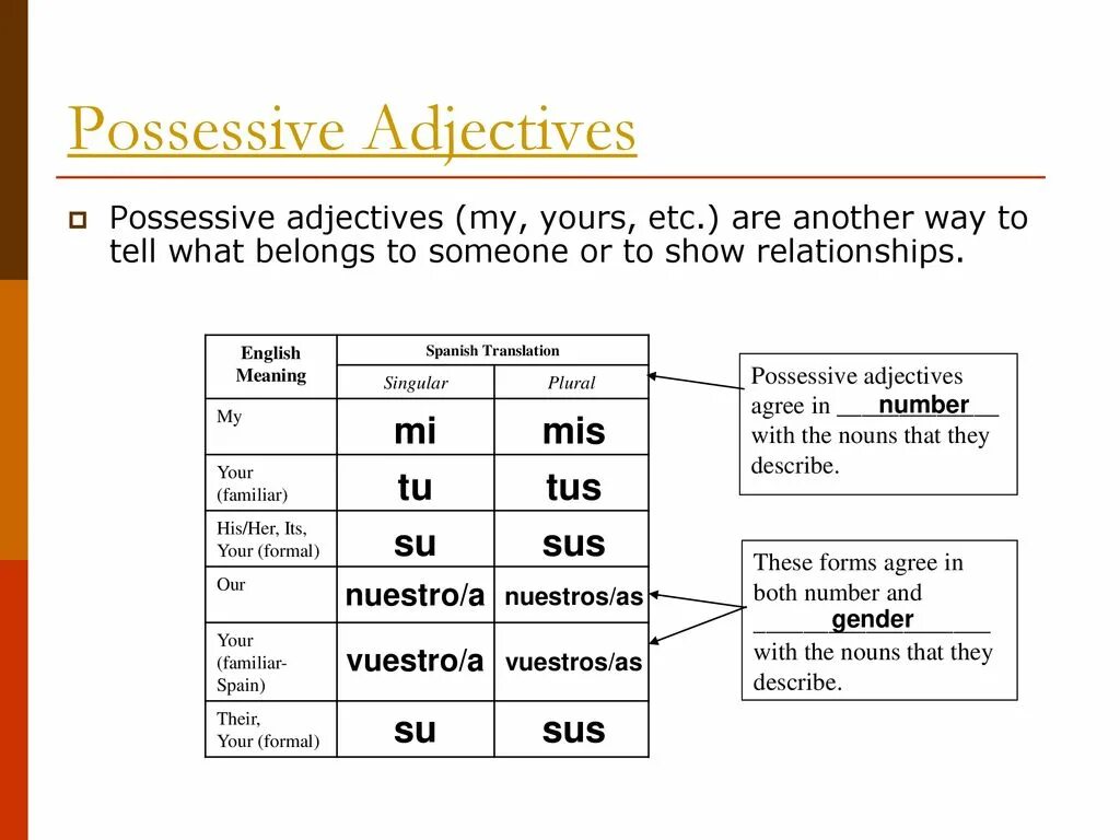 Possessive adjectives. Презентация possessive. Possessive adjectives перевод. Possessive adjectives Rule. Adjective перевод на русский