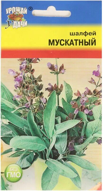 шалфей овощной нектар. шалфей лекарственный purpurascens. шалфей овощной семена купить. шалфей овощной айболит. шалфей овощной бриз семена.