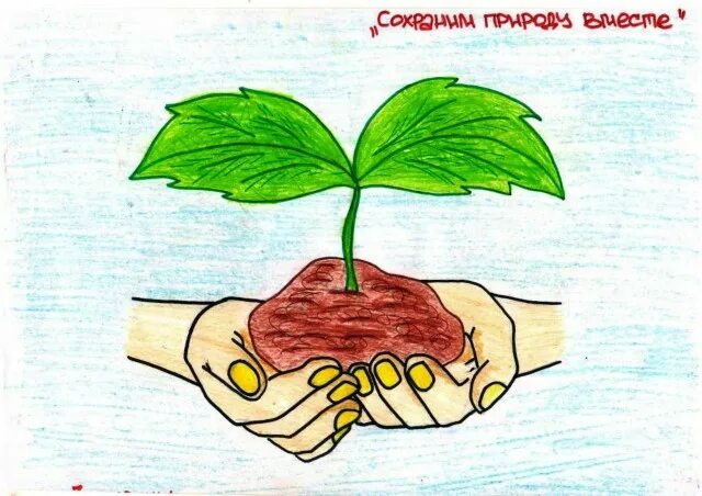 Сохраним жизнь вместе. Сохрани природу сохрани жизнь рисунки. сохраняя природу мы сохраняем жизнь. рисунок сохрани себе жизнь. сохраним растения сохраним жизнь.
