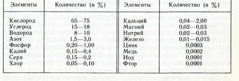 Где находится хим