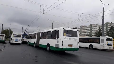 78 автобус спб
