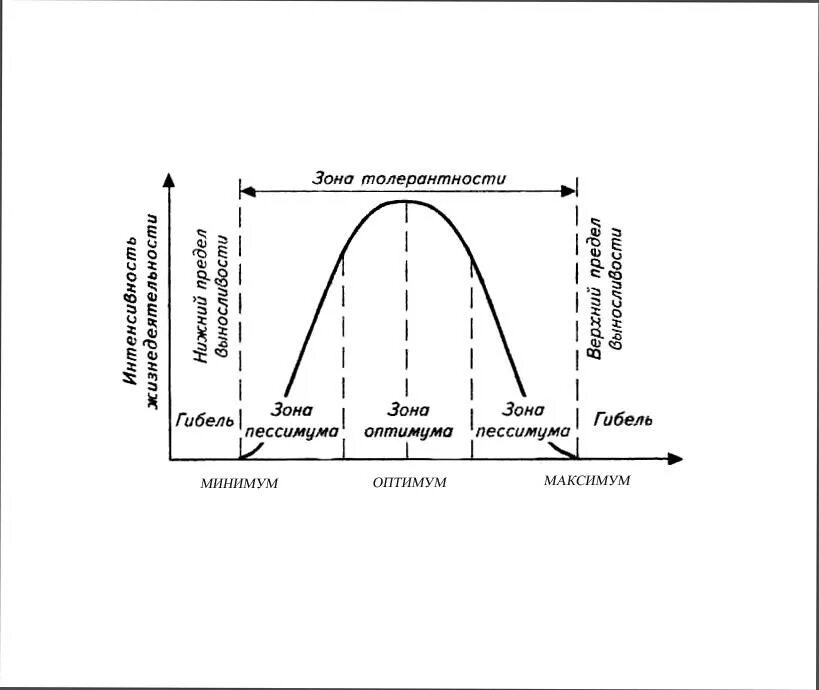Рост толерантности пав. Действие экологического фактора на живой организм. Действие экологического фактора на живой организм схема. Зоны оптимума, нормальной жизнедеятельности и пессимума. Кривая оптимума экология.
