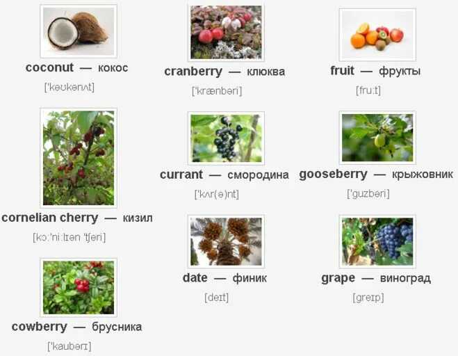 Ягода части слова. Названия ягод на английском языке. Фрукты и ягоды на английском языке. Ягоды на английском с транскрипцией. Названия ягод на английском с транскрипцией.