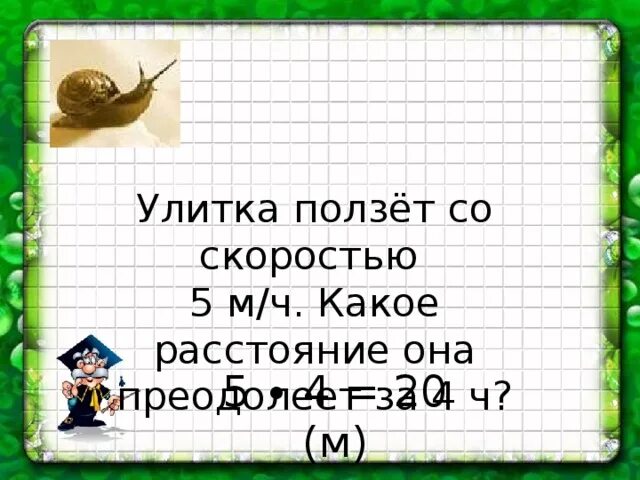 Какой путь проползет улитка. Какой путь проползет улитка