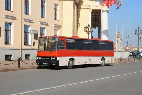 70 автобус спб
