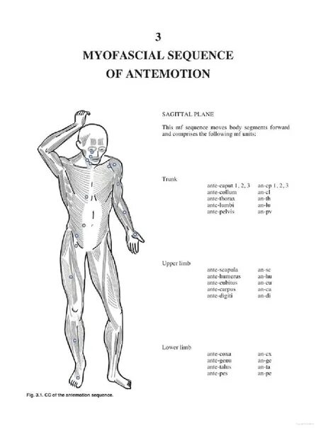 Myofascial physiotherapy device user manual инструкция. Myofascial physiotherapy device user manual инструкция на русском. myofascial physiotherapy device инструкция на русском. инструкция массажер myofascial physiotherapy device user manual. user manual инструкция на русском языке.