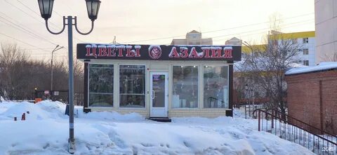 Маки томск