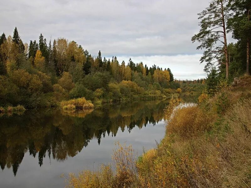 Река иж в удмуртии. Река люда. Река люда. Река аргунь забайкальский. Река люда.