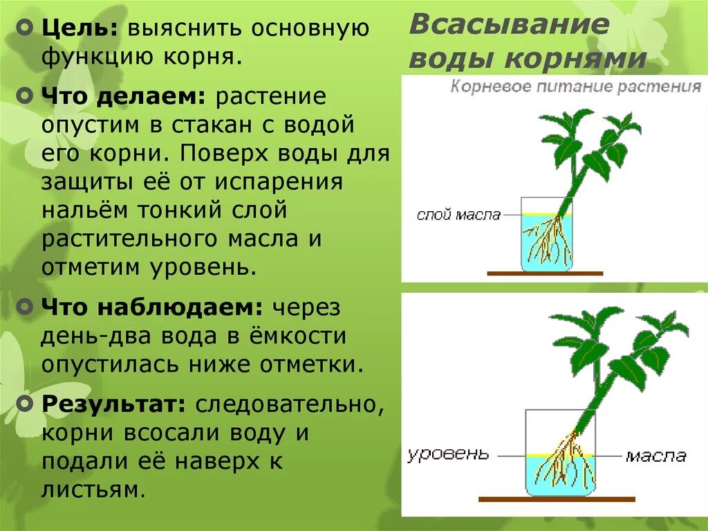 Функция поглощения воды