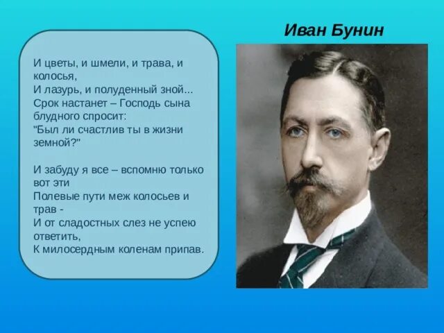 У зверей есть гнездо бунин. И цветы и шмели и трава и колосья. Бунин и цветы и шмели и трава. Бунин и трава и цветы.