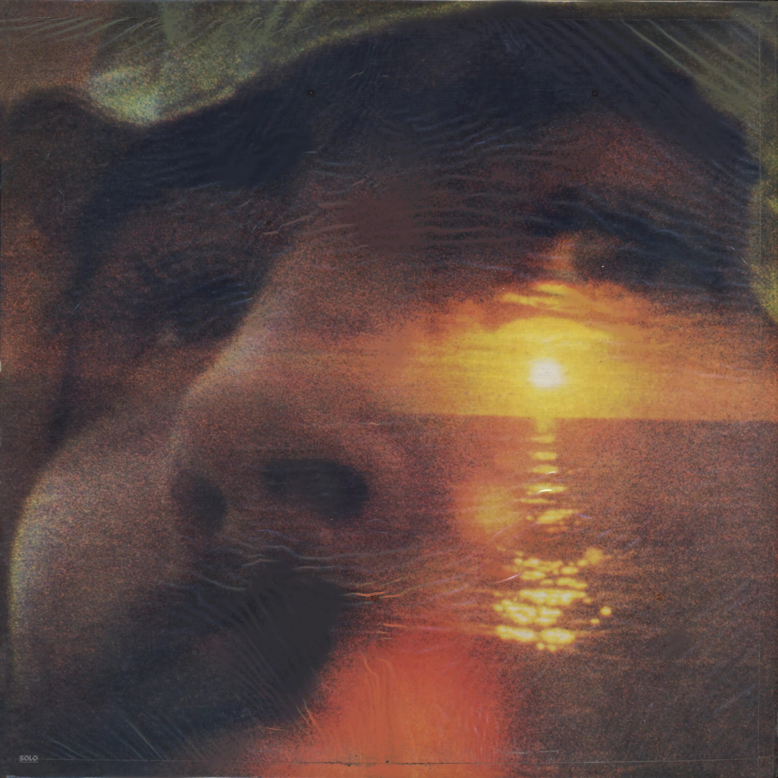 If i could i want. David crosby if i could only remember my name 1971. david crosby if i could only remember my name cover. remember. певец. if i could.