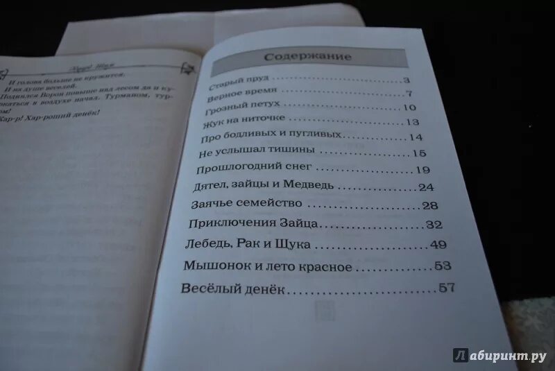 Сколько глав в оригинале. Книга один заяц. ШИМ содержание книги. От одного зайца сколько страниц. ШИМ Лесные сказки сколько страниц в книге.