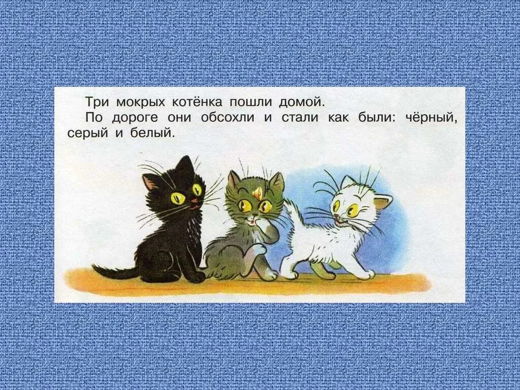 Сутеев в. "три котенка". Три котёнка белые серые. Три котёнка чёрный серый и белый. Три котенка Сутеев презентация. Три котенка слова