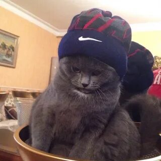 Ты хоть знаешь что я сказал