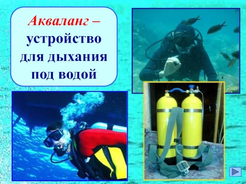 Водолазный баллон. Снаряжение аквалангиста с названиями. Акваланг авм 7. Акваланг заимствованное слово. Акваланг из противогаза.