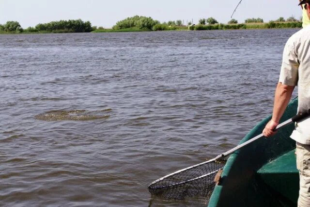 Астрахань Кигач рыбалка. Река Кигач село Байбек. Рыбалка на реке Кигач. Река кигач астраханская область