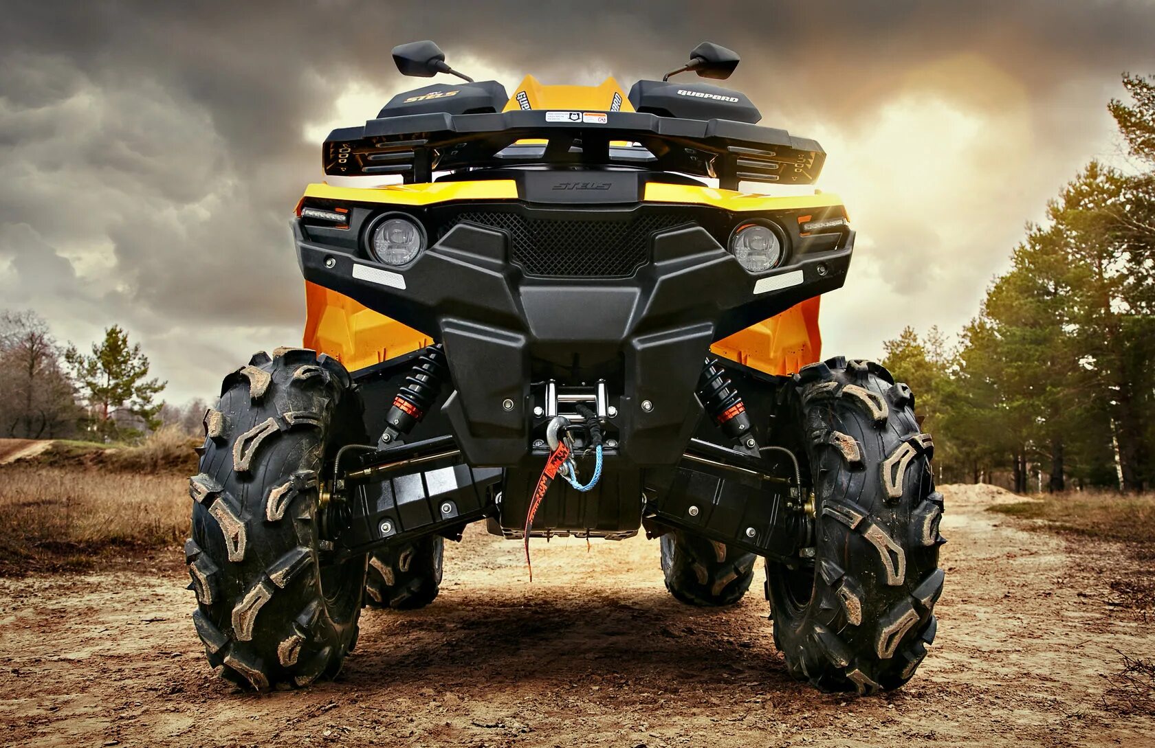 Stels Guepard 650. Stels atv 650 Guepard. Stels Guepard 800. Квадроцикл стелс гепард 650. Atv 650 guepard