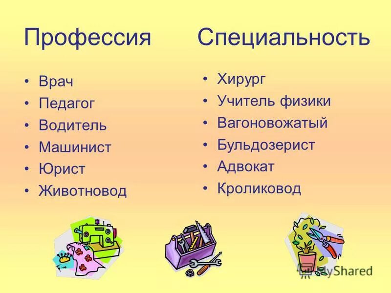 Чем отличается специализация