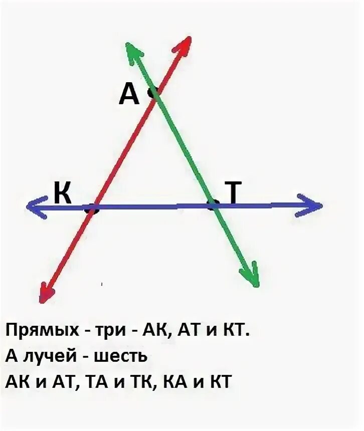 Сколько прямых можно построить через две точки