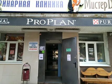 Мистер дог сайт
