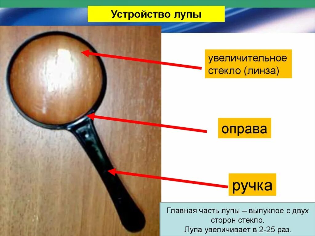 Какую функцию выполняет увеличительное стекло