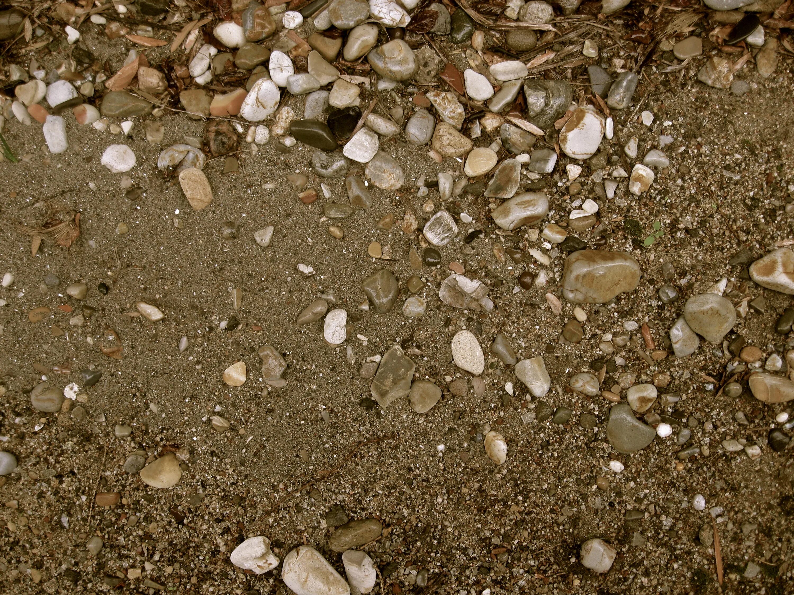 Dirty floor. Галька или песок горько. Shell Rock texture. Dirt Floor texture. Shingle Sand texture.