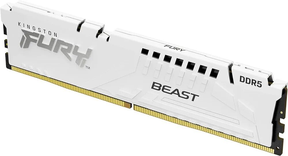 Kingston fury beast rgb 16gb ddr5. Оперативная память 64gb (2x32gb) 6000 kingston fury beast black rgb expo (kf560c36bbeak2-64). оперативная память kingston kingston16gb 6000mts ddr5 cl40 dimm (kit of 2) fury beast rgb. ddr5 16gb pc-41600 (5200mhz) kingston fury beast white rgb expo kf552c36bwea-16. fury beast белая.