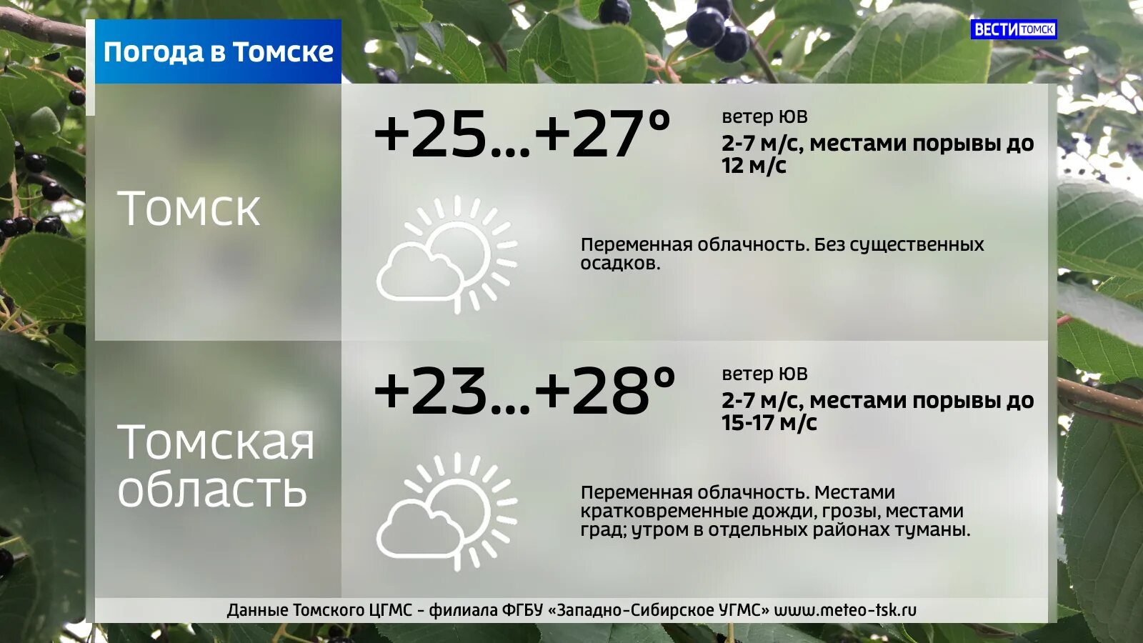 Погода в томске на 14. Погода в Томске на 3. Погода на завтра.