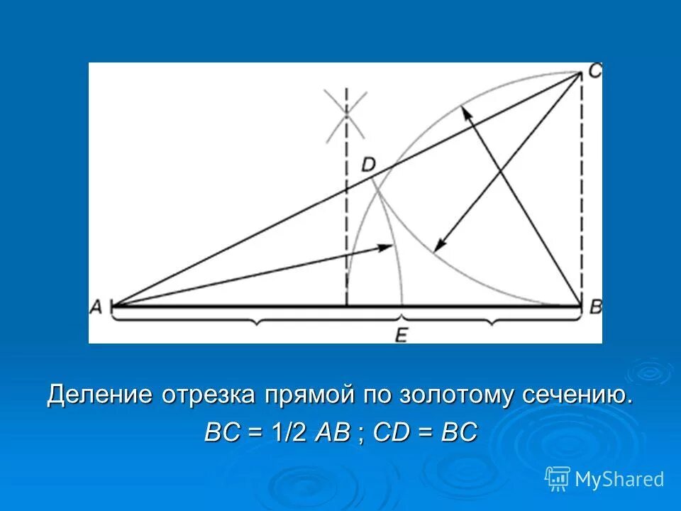 Деление золотого сечения