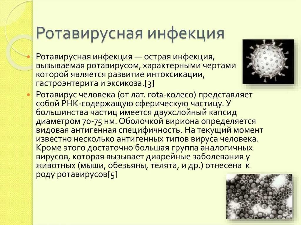 Ротавирусная без температуры у взрослого. Ротавирусная инфекция краткая характеристика. Рота виросная инфекция. РО то овирусная инфекция. Розело вирусная инфекция.