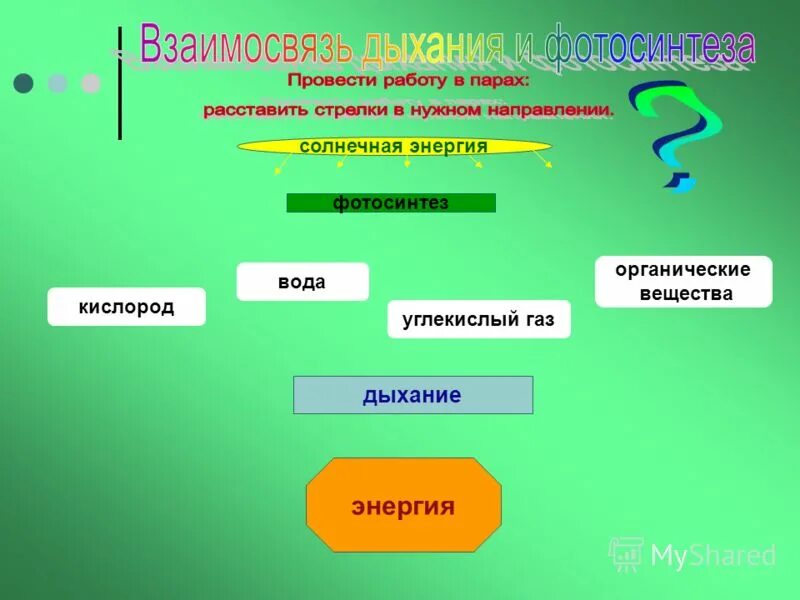 Газообразные органические соединения. Взаимосвязь фотосинтеза и дыхания. Органические вещества дыхание. Углекислый ГАЗ + вода → органические вещества + кислород,. Органические вещества фотосинтеза и дыхания.