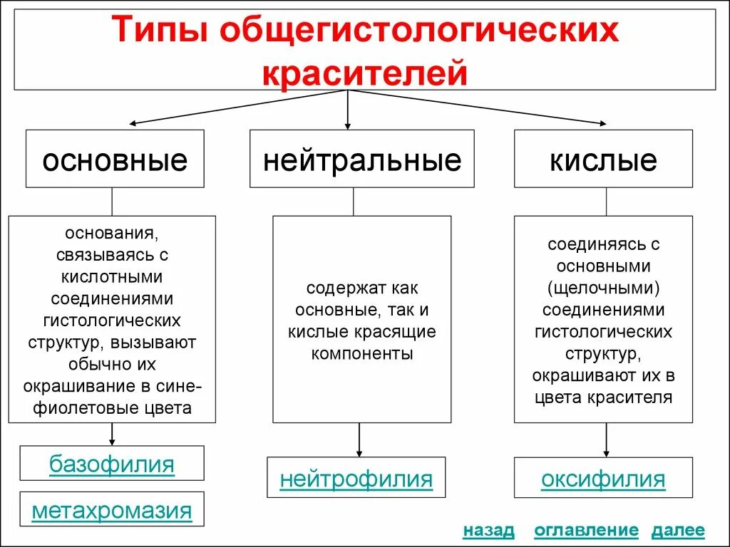 Типы красителей. Методы окрашивания гистологических препаратов. Основные красители в гистологии. Красители в гистологии таблица. Общая характеристика и классификация гистологических красителей..