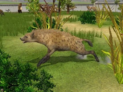 Wildlife two