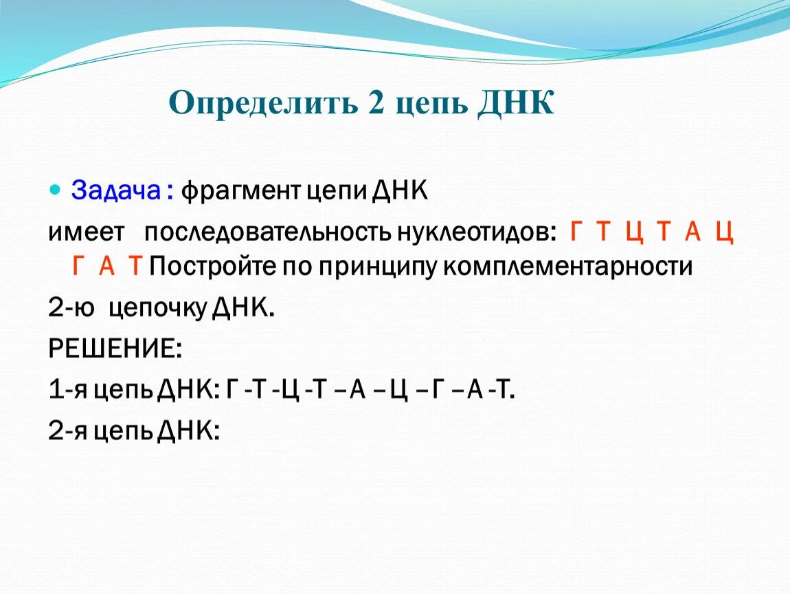 Матрицей является цепь днк. Как построить 2 цепочку ДНК. Задачи на Цепочки ДНК И РНК. 2 Цепь ДНК И РНК. Первая и вторая цепь ДНК пример.